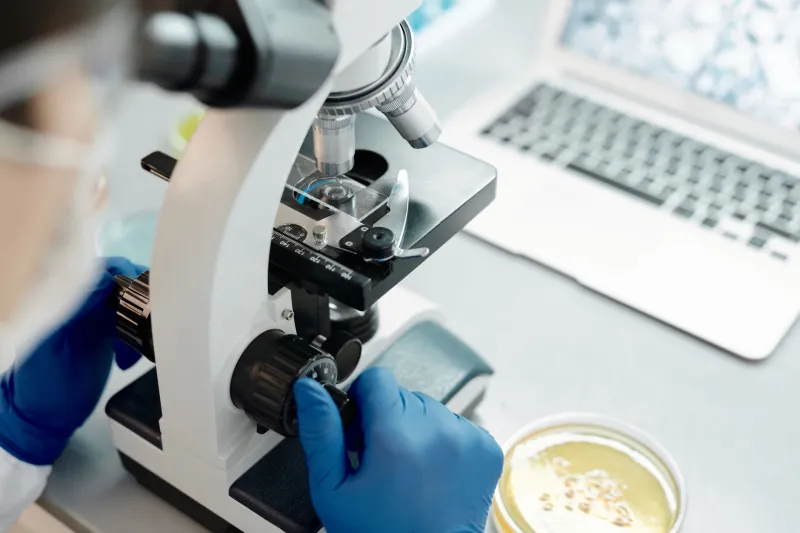 A Ecologia Invisível das Metrópoles: Pesquisadores Brasileiros Decifram os Microbiomas que Habitam as Cidades