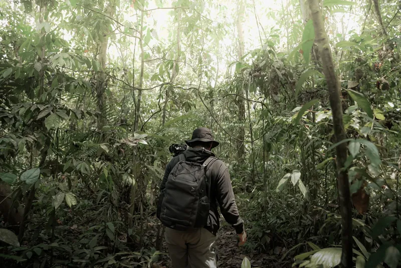 Vozes da Floresta: Como a Bioacústica e a Inteligência Artificial Estão Revelando os Segredos da Amazônia